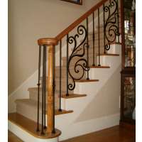 Iron railing/wrought iron fence